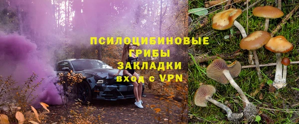 твердый Пролетарск