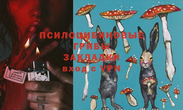 твердый Пролетарск