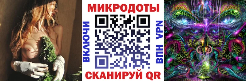 Купить  Ковров  Галлюциногенные грибы MAGIC MUSHROOMS 